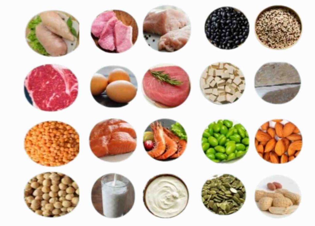 Which 5 Foods that burn belly fat fast